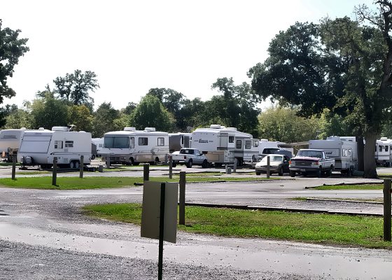 Row of RVs parked under shade trees at Lazy L RV Park