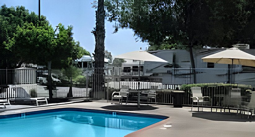 Activities around Sherman, Texas